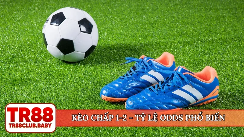 Kèo chấp 1-2
